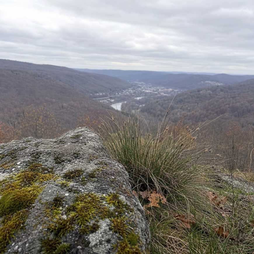 A landscape with a rock and grass tuft in the near foreground anchoring the view
