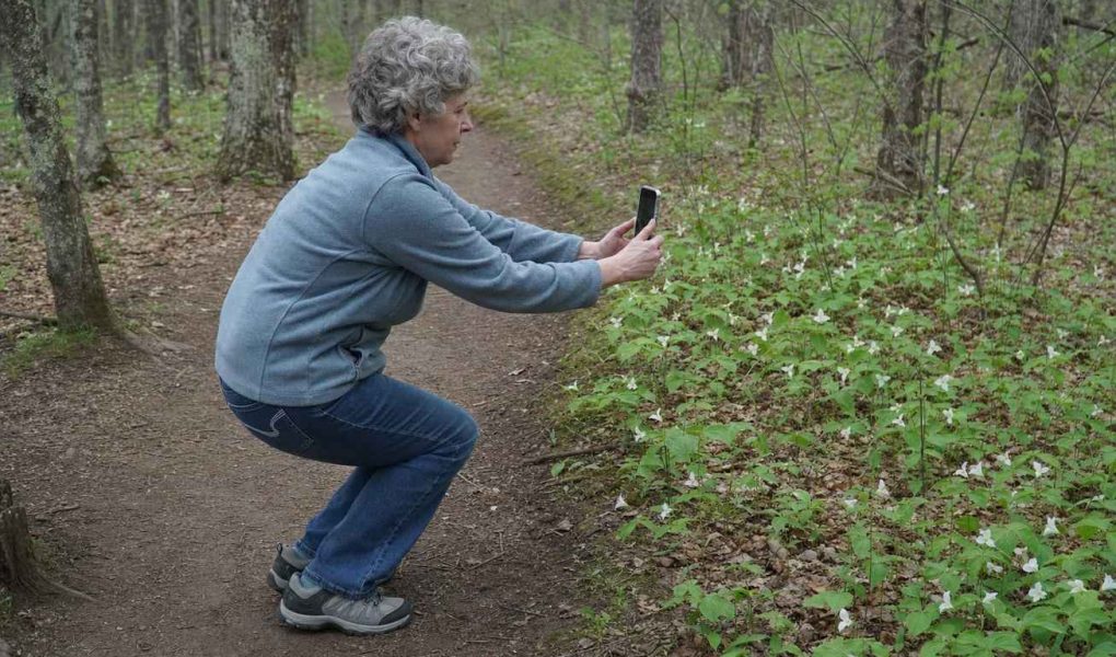 Side view of an everyday person crouching slightly on a wooded trail to frame a photo with their phone