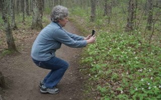 Side view of an everyday person crouching slightly on a wooded trail to frame a photo with their phone