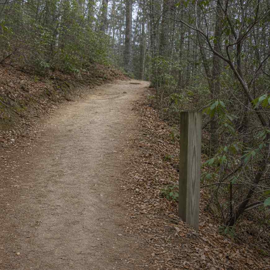 An easy trail with a simple wooden marker post in soft light