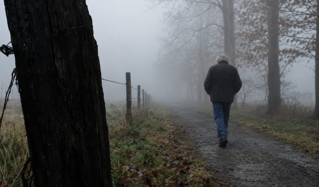 A dark fence post close to the camera with an older walker and pale trees fading into morning fog beyond