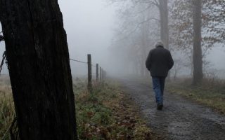 A dark fence post close to the camera with an older walker and pale trees fading into morning fog beyond