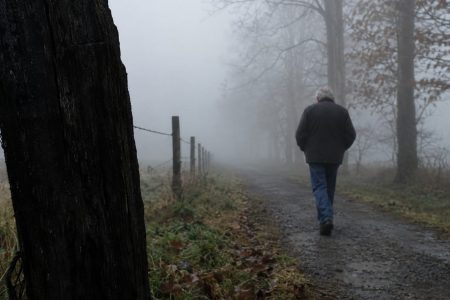 A dark fence post close to the camera with an older walker and pale trees fading into morning fog beyond