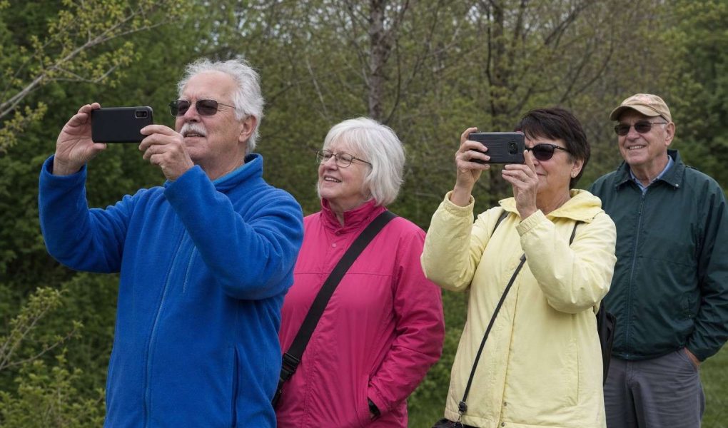 A small friendly group of older adults in a park, a couple holding phones to photograph the scenery