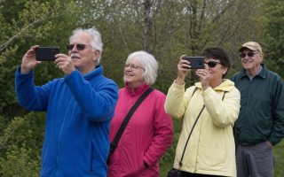 A small friendly group of older adults in a park, a couple holding phones to photograph the scenery