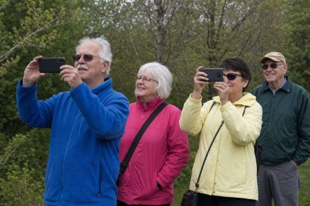 A small friendly group of older adults in a park, a couple holding phones to photograph the scenery