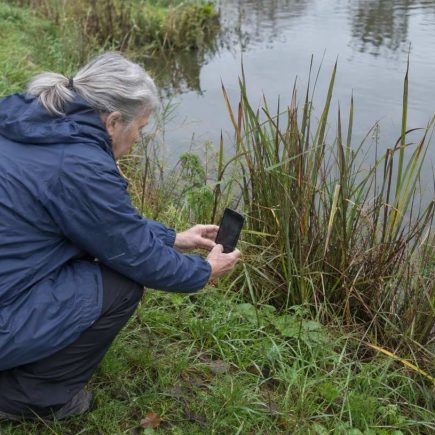 An older woman crouching at the edge of a pond photographing reeds with her phone under a flat grey sky