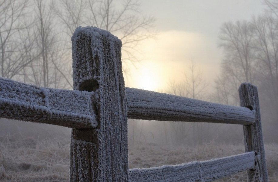 A frosted fence rail with low winter sun behind bare trees