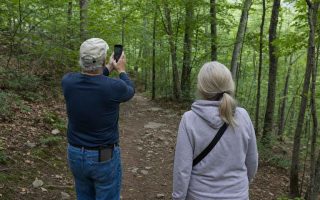 Two people from behind on an easy forest trail, one pausing to take a phone photo
