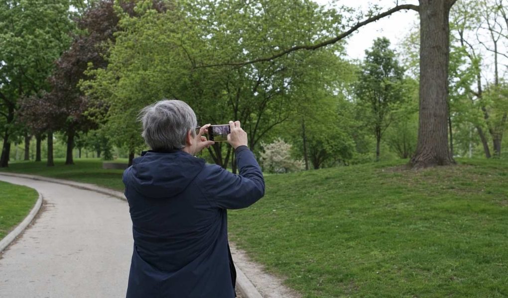 From behind, a person walking a park path pausing to photograph trees with a phone