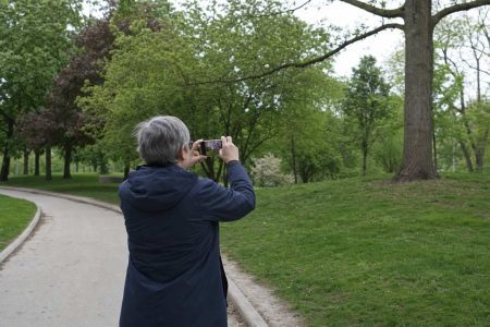 From behind, a person walking a park path pausing to photograph trees with a phone